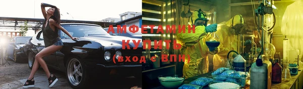 амф Гусь-Хрустальный
