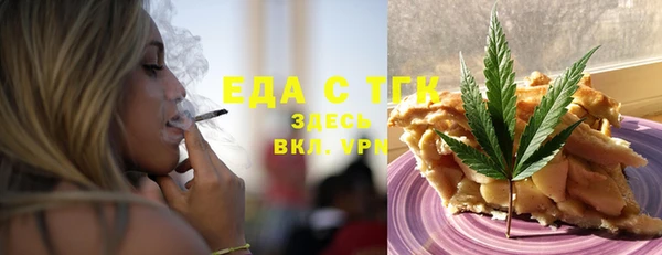 индика Гусев