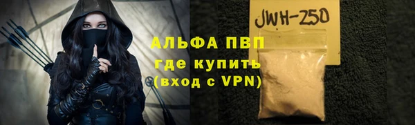 амф Гусь-Хрустальный