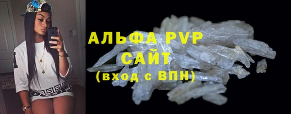 индика Гусев