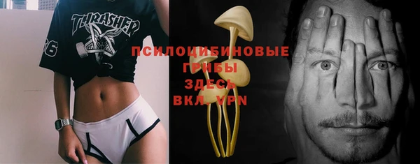 индика Гусев