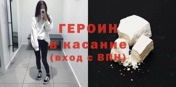 индика Гусев