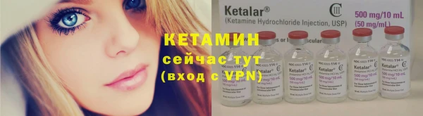 индика Гусев