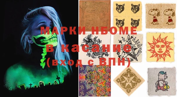 индика Гусев