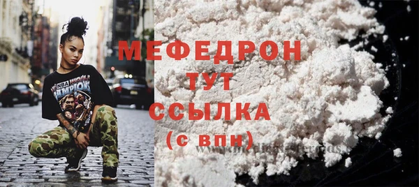 индика Гусев