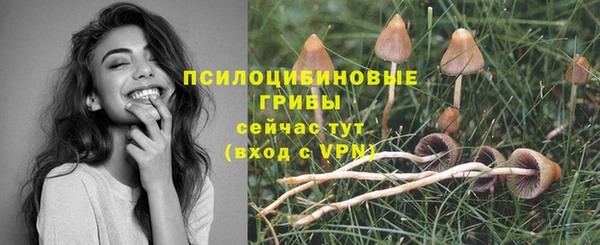 амф Гусь-Хрустальный