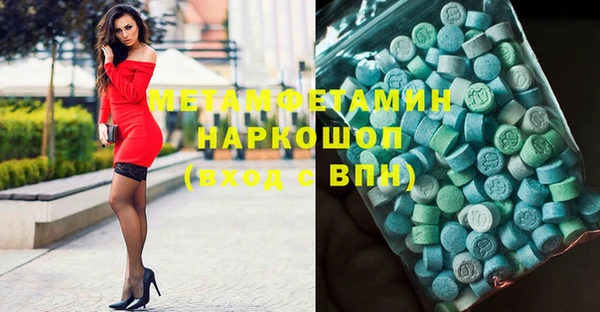 индика Гусев