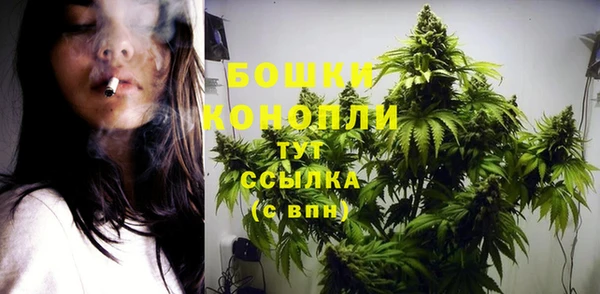 СК Гусиноозёрск