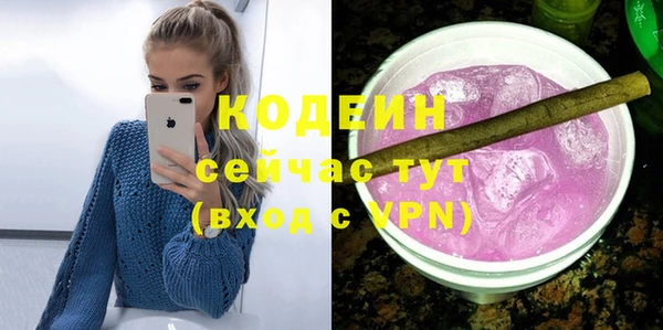 амф Гусь-Хрустальный