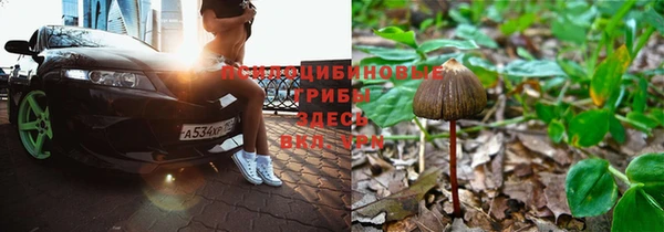 амф Гусь-Хрустальный