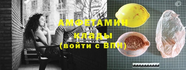 индика Гусев