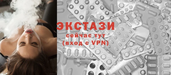 индика Гусев