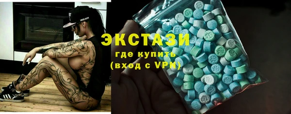 индика Гусев