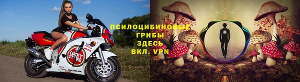 индика Гусев